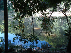 Pond seen at a higher elevation